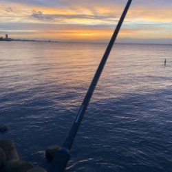 雰囲気抜群でしたが。