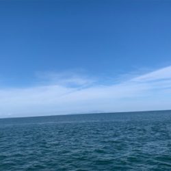 淡路島でハマチ！