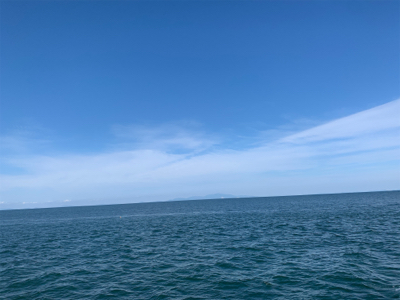 淡路島でハマチ！