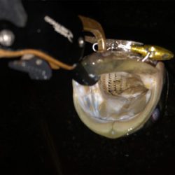 ワンチャンス！