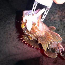 仕事帰りロック！