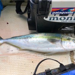 明石沖ジギング