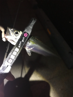 ワイワイアジング