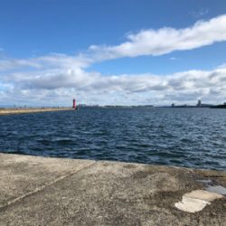 今シーズン開幕しました