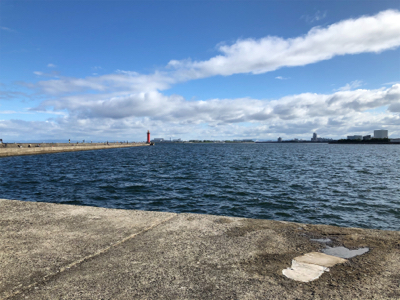 今シーズン開幕しました