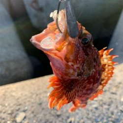 待ち時間にロック！