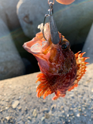 待ち時間にロック！