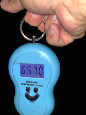 大物狙いで夜に1時間限定出動