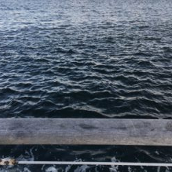 ジグで太刀魚1本