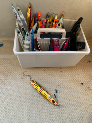 須磨沖タチウオジギング