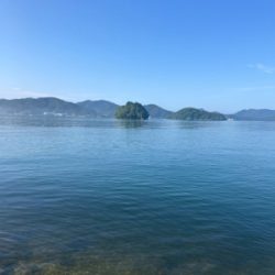 今年、初、、、