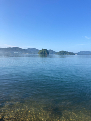 今年、初、、、