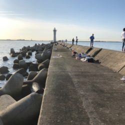 初めての和田防新波止
