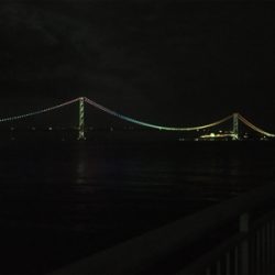 久しぶりのアジング