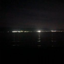 新子調査やっとマシなサイズ