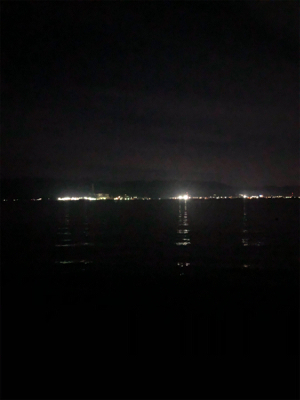 新子調査やっとマシなサイズ