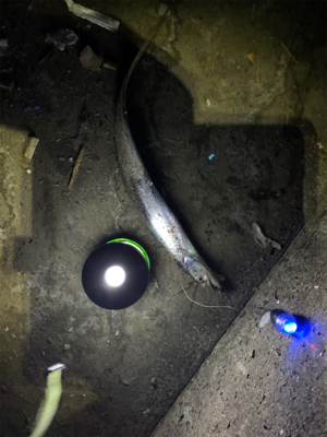 タチフロートで太刀魚狙い