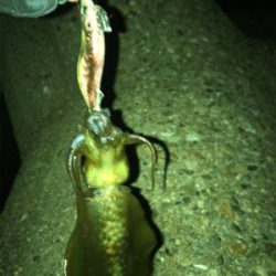 とりあえず1杯^^;