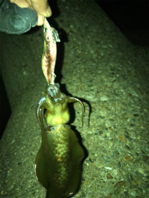 とりあえず1杯^^;