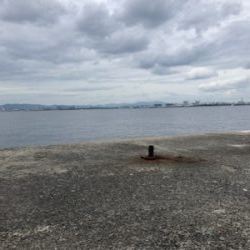 久しぶりにホームへ