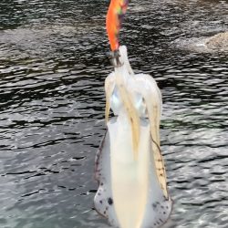 フラッシュ効果発動⁉️