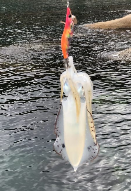 フラッシュ効果発動⁉️