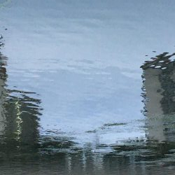 巨鯉釣りでドブ川へ