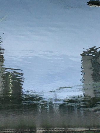 巨鯉釣りでドブ川へ