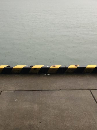 新子ランガン釣果