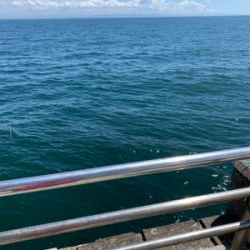 ライトショアジギング