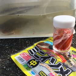 秋の風物詩ハゼ釣り