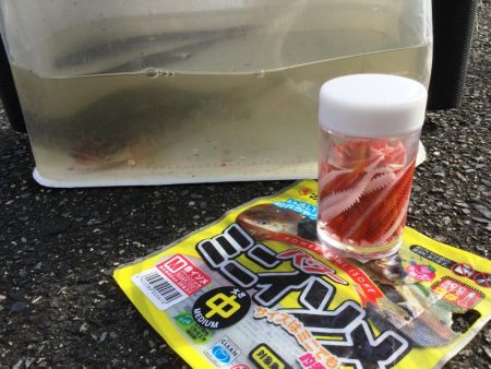 秋の風物詩ハゼ釣り