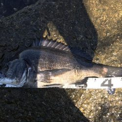 イチノ兄弟、釣果!