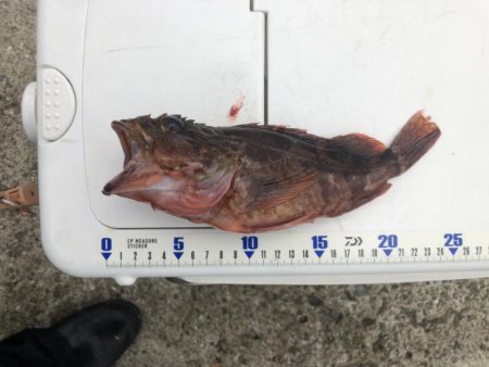 神谷荘さんで大波止へ