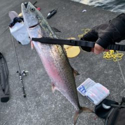 痛恨のバラシが二本