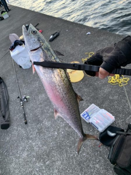 痛恨のバラシが二本