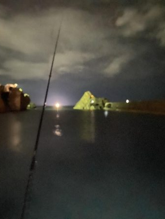 ナイトエギング