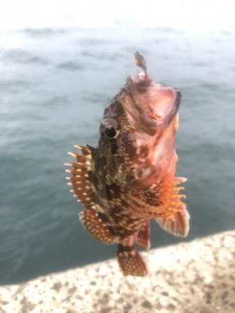 のんびり淡路島見ながら五目釣り