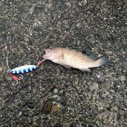 ショアジギング