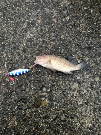 ショアジギング