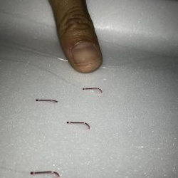 9月21日住宅街の側溝で