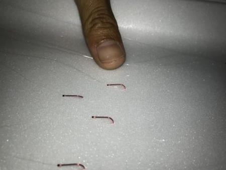 9月21日住宅街の側溝で