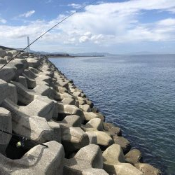 ベイト何処いった?