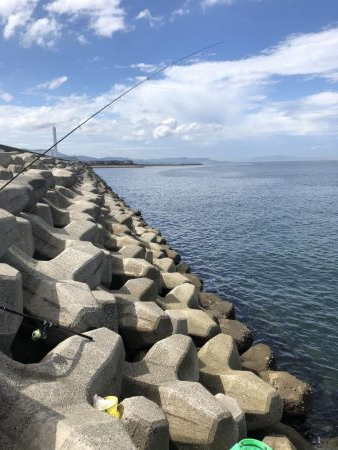 ベイト何処いった?