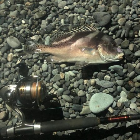 ショアジギング&ぶっ込み釣り