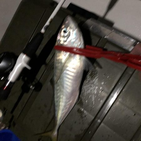 ナイトディープアジング