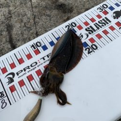 仕事終わりからの