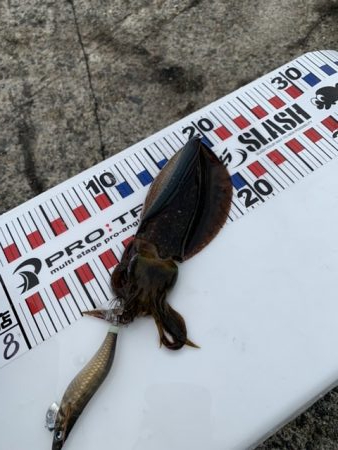 仕事終わりからの