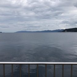 秋の数釣りシーズン?