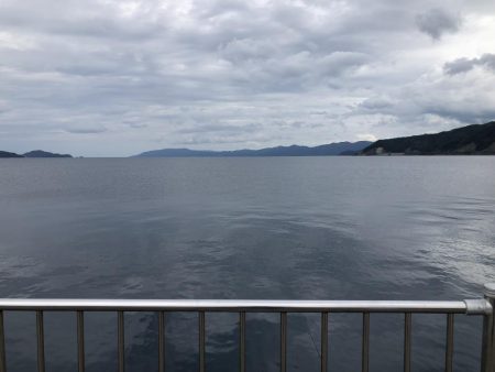 秋の数釣りシーズン?